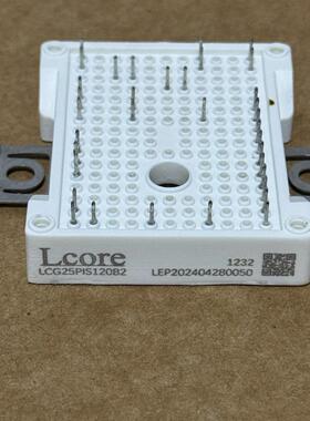 Lcore LCG25PIS120B2 IGBT模块 成色漂