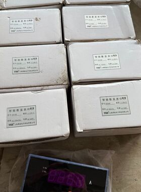 带YKE上海燕赵仪表SX160智能数显表规格AC40
