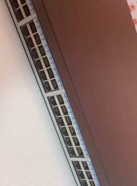 S1720-52GWR-4P 48口带管