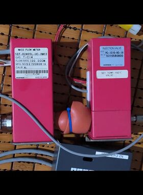 日本HORIBA STEC SMT-8000质量流量控制器