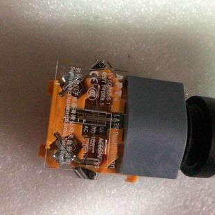 DC13V APT 20XK按钮开关 正 LA39