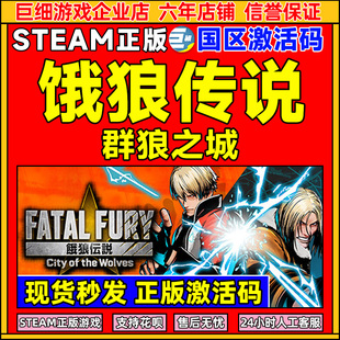 FATAL 群狼之城 饿狼传说 游戏 CDKey PC正版 FURY国区激活码 Steam
