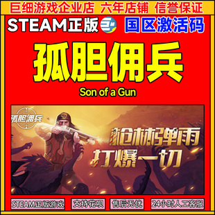 PC正版 孤胆佣兵 游戏 CDKey Son 国区激活码 steam Gun