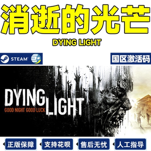 steam消逝的光芒 Dying Light 信徒加强版白金版 国区激活码CDKey