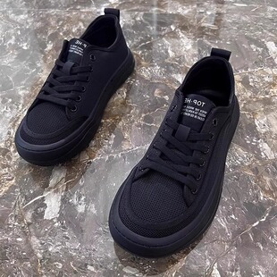 网布透气休闲鞋男款2025新款夏季软底板鞋潮流百搭系带黑色布鞋子