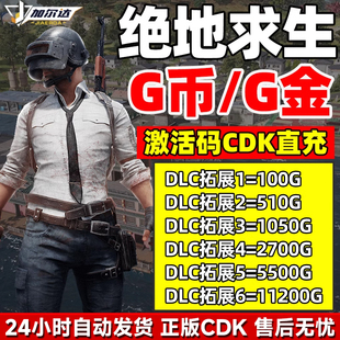 PUBGG币CDK兑换码绝地求生金币吃鸡G游戏币皮肤点卷充值激活