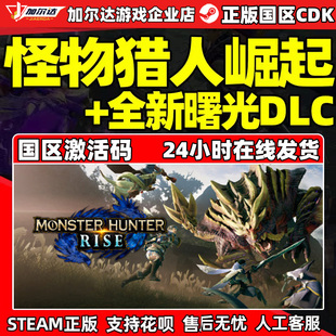 Steam 国区激活码 怪物猎人崛起 DLC CDkey 曙光 PC中文正版