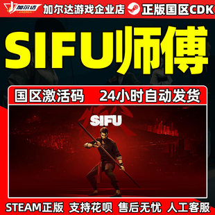 Steam 师父sifu 师傅PC中文游戏正版激活码国区CDKey 功夫 格斗