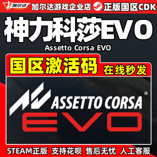 國區(qū)激活碼 Steam中文正版 CDKey EVO Corsa 神力科莎EVO Assetto