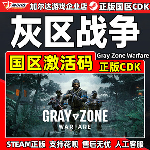Zone Gray 灰區(qū)戰(zhàn)爭(zhēng) PC游戲 國(guó)區(qū)激活碼 CDKey Warfare steam游戲