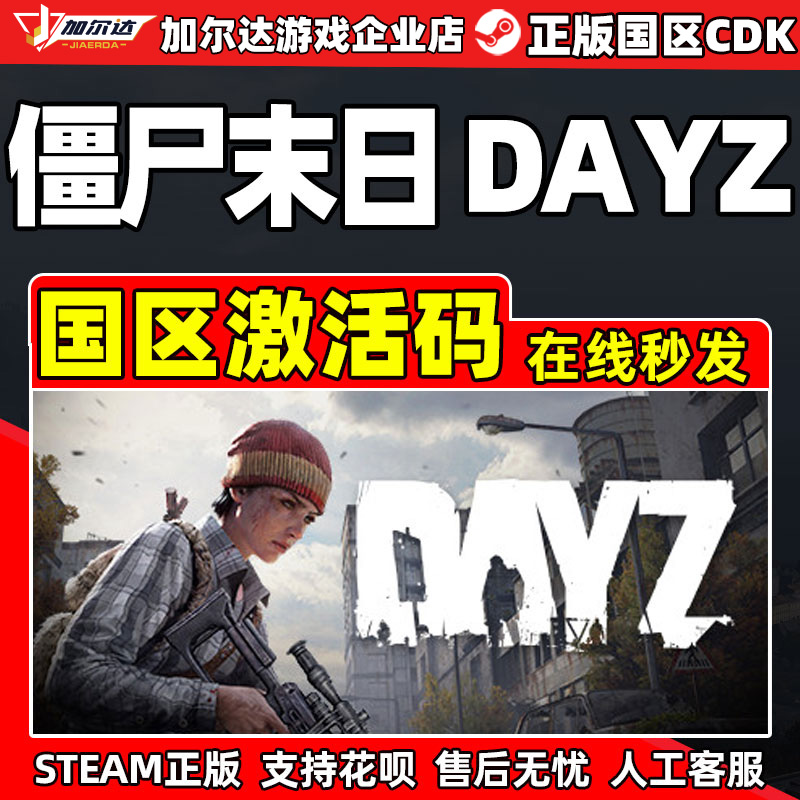 pc正版dayzsteam激活码