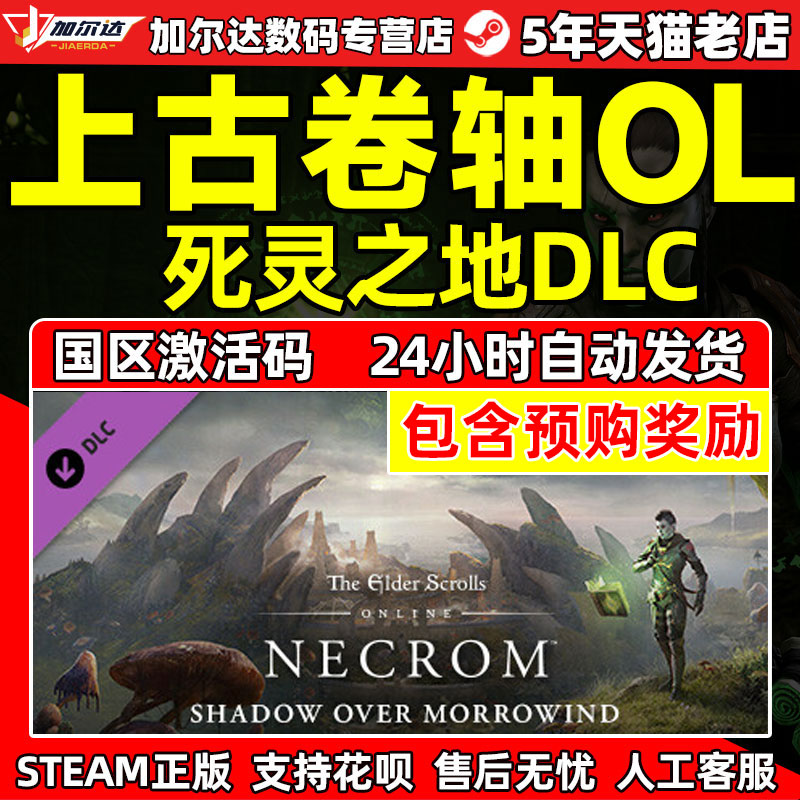 STEAM 上古卷轴OL 死灵之地 激活码CDKEY 收藏版死灵之地Necrom PC正版游戏 大型多人在线怎么样,好用不?