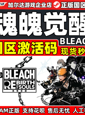 Steam BLEACH死神魂魄觉醒BLEACH Rebirth of Souls国区激活码CDK