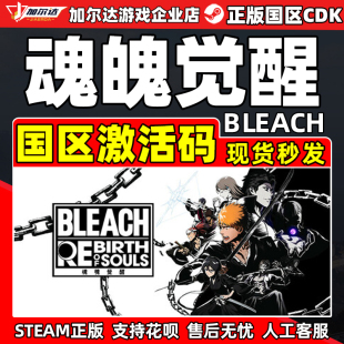 Steam BLEACH死神魂魄觉醒BLEACH Rebirth of Souls国区激活码CDK