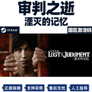 STEAM PC中文正版 审判之逝湮灭的记忆 国区激活码CDKey 现货秒发