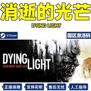 steam消逝的光芒 Dying Light 信徒加强版白金版 国区激活码CDKey