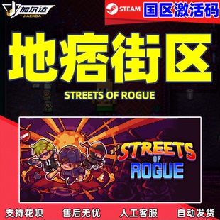 PC中文steam游戏 地痞街区 国区 激活码 cdkey Streets of Rogue