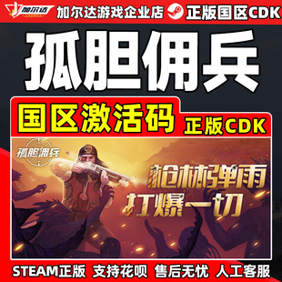 PC正版 孤胆佣兵 游戏 CDKey Son 国区激活码 steam Gun