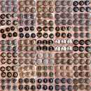 装 大衣风衣上衣外套钮扣盾牌时装 饰扣子 高档金属纽扣西装 清仓特价