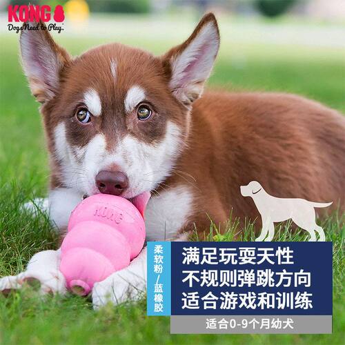 美国品牌KONG狗玩具葫芦不倒翁漏食耐咬幼犬成犬训练互动解闷