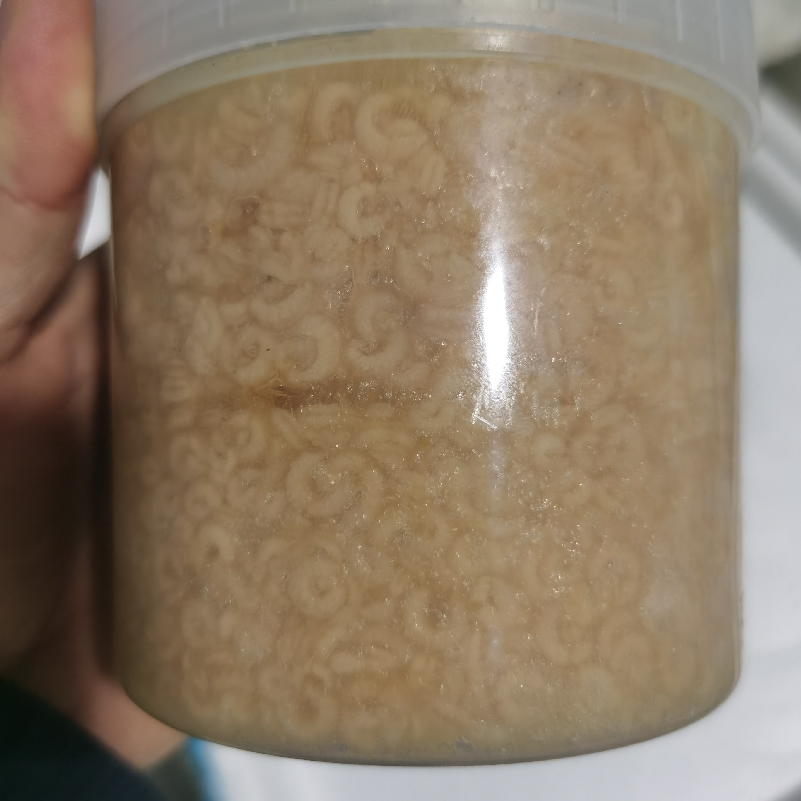 【一品蜜坊】新鲜蜂王胎王虫蜂幼虫王仔 大瓶500克 包邮