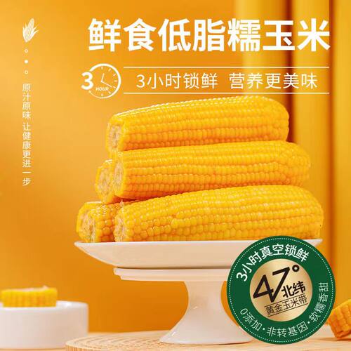 东北黄糯玉米新鲜软糯黄粘苞玉米现摘真空装早餐代餐饱腹玉米棒