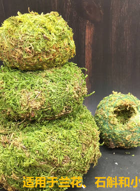 日式苔藓球个性创意花盆植物