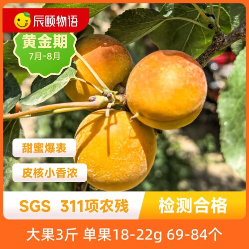辰颐物语新疆小红杏3斤大果当季新鲜水果现摘杏子包邮坏果包赔