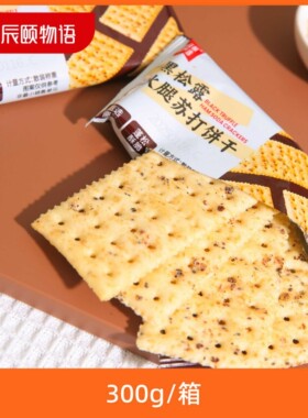 辰颐严选黑松露火腿苏打饼干300g一箱休闲小零食酥脆饼干品牌直发
