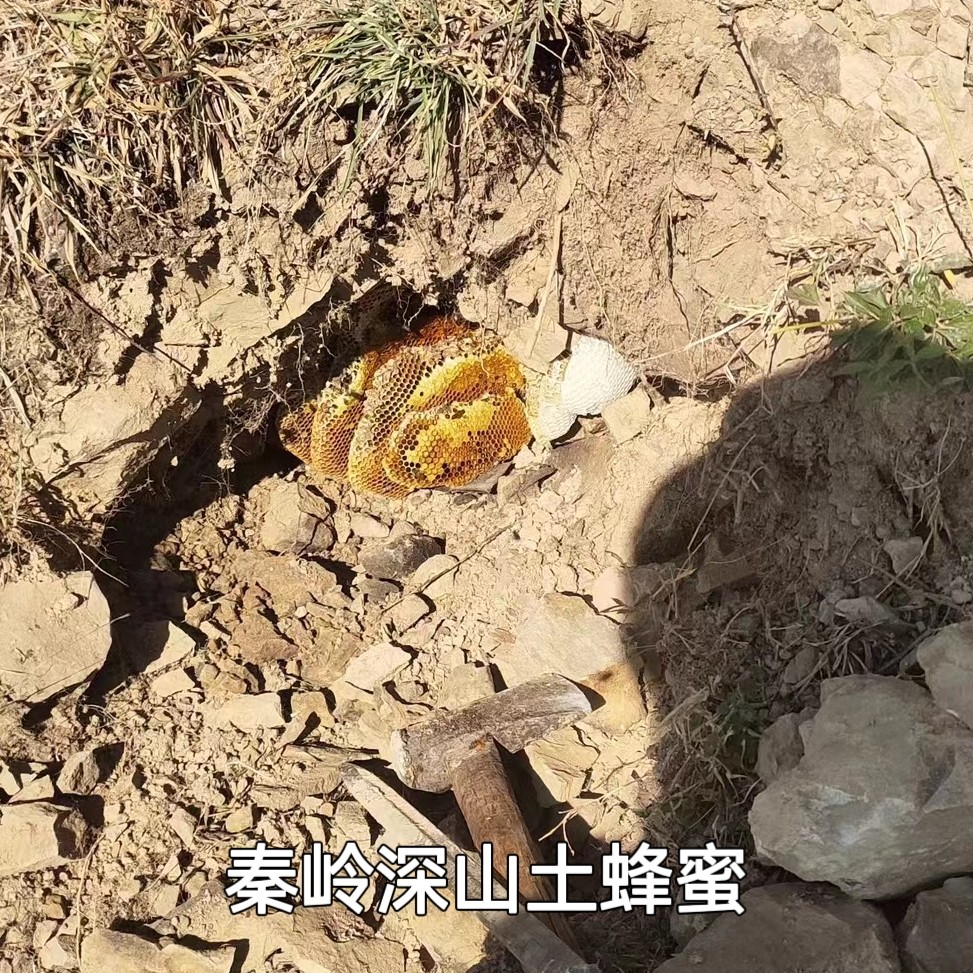 秦岭深山百花ye土蜂蜜结晶如猪油细腻有假包赔500g包邮无添加母婴