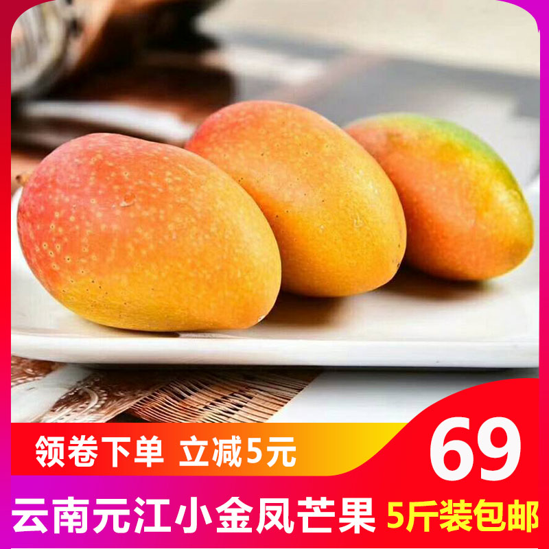 Yunnan Tree Jinfeng Royal Mango fresh Season Season Fruit 5 Gift box packaging pregnant womanin the Aquatic meat/Fresh fruits and vegetables/Cooked , Fresh fruit , Mango  category - from Buy2taobao.com to provide professional Taobao agent buy service