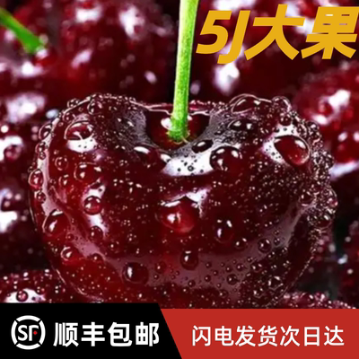 美国进口车厘子大樱桃黑珍珠大果鲜果礼盒樱桃5J孕妇新鲜水果