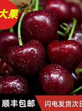 山东烟台大樱桃车厘子美早大果鲜果礼盒樱桃6J5J孕妇新鲜水果包邮