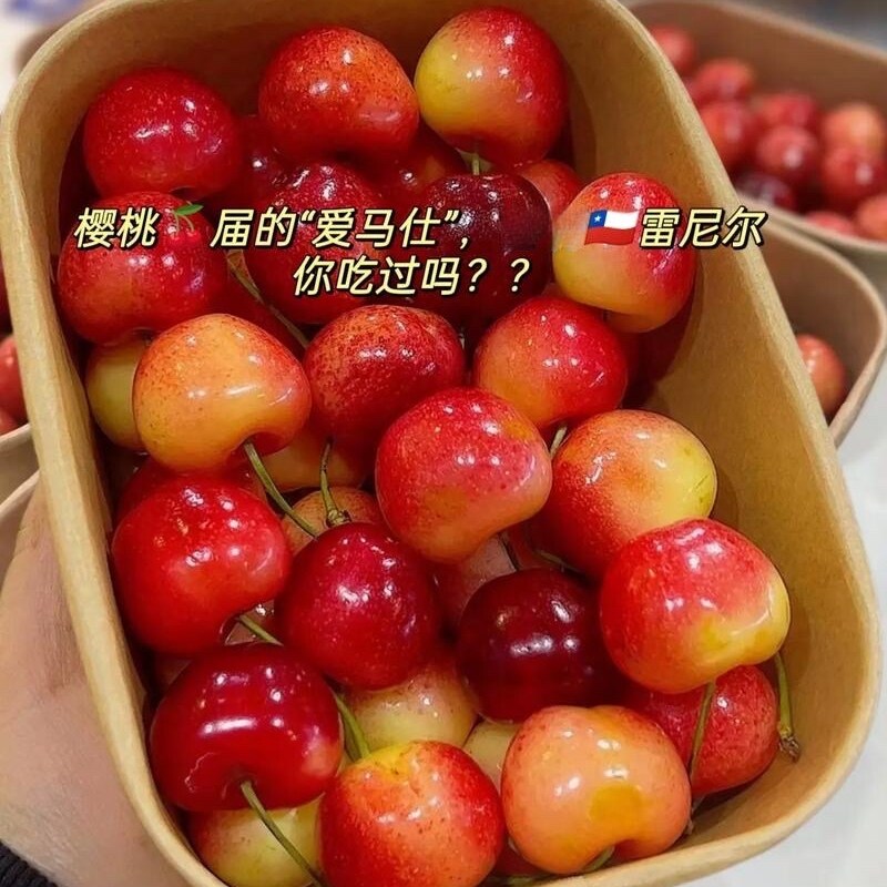 美国黄樱桃斯凯拉雷金车黄车厘子新鲜大樱桃鲜果孕妇水果礼盒4j5j