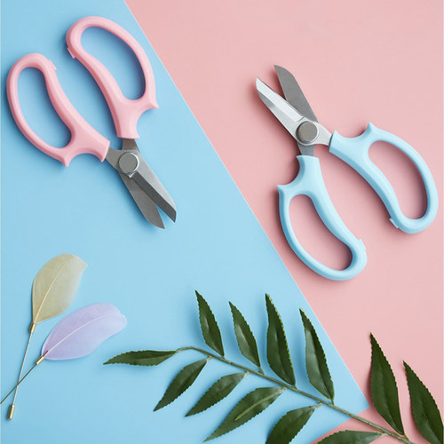 花枝剪刀园艺宽头家用