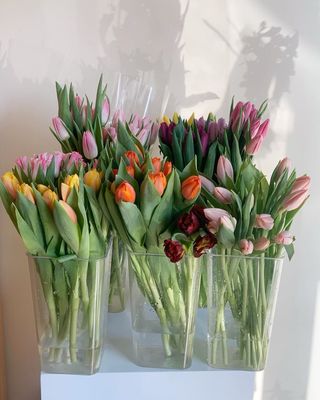 亚克力鲜花桶法式高透明深水醒花