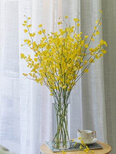 跳舞兰鲜花瓶插花文心兰家庭黄色婚庆水养鲜切花兰花办公桌书房