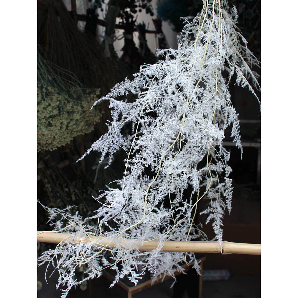 永生花文竹假花装饰配花插花