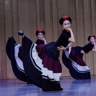 大山儿童彝族舞蹈演出服女童少数民族古典舞大裙摆百褶裙表演服装