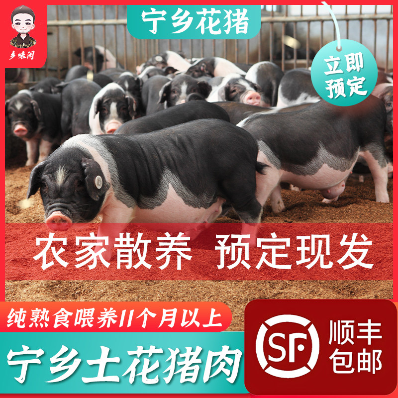 宁乡花猪前腿肉生鲜五花肉排骨筒子骨梅花肉土猪猪脚农家现杀现发