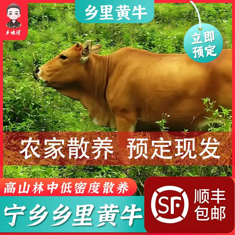 乡里土牛肉农家土牛肉牛腱子牛腩牛排骨牛腿肉老品种散称专拍新鲜