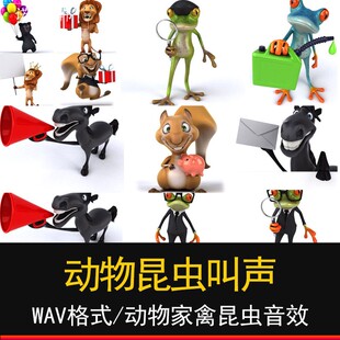 动物家禽昆虫鸟猫狗猪马羊牛鸡鸭狼叫声影视后期制作音效音频素材