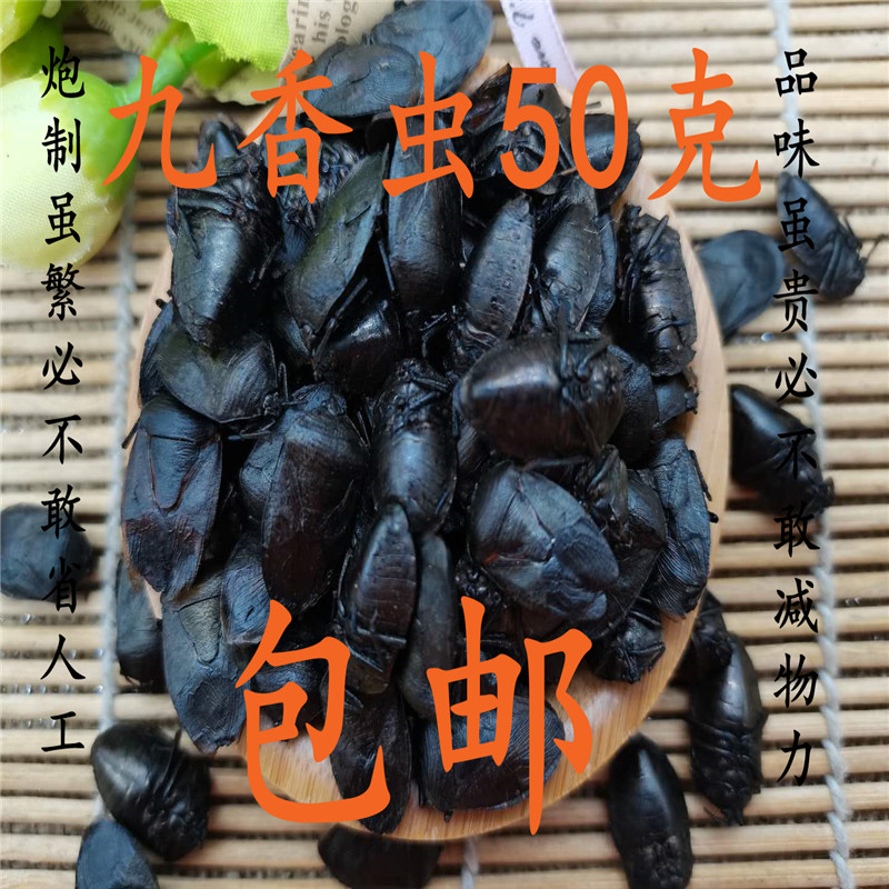 九香虫 中药材 正品 打屁虫 屁巴虫 同质量堂 虫虫50克可打粉包邮