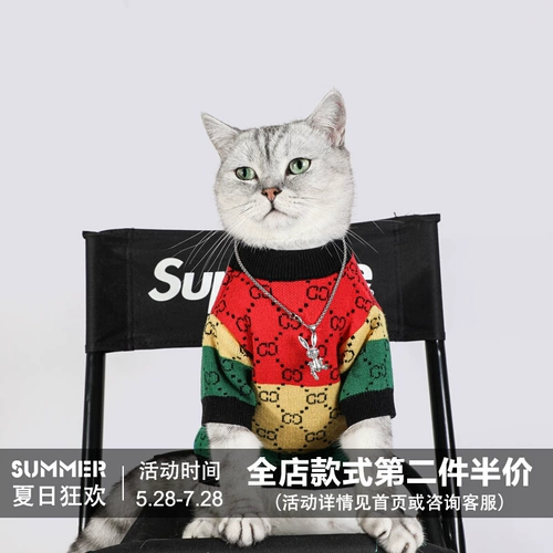 Кошачья одежда осень и зимняя радуга четырехцветная свитер собака смешно