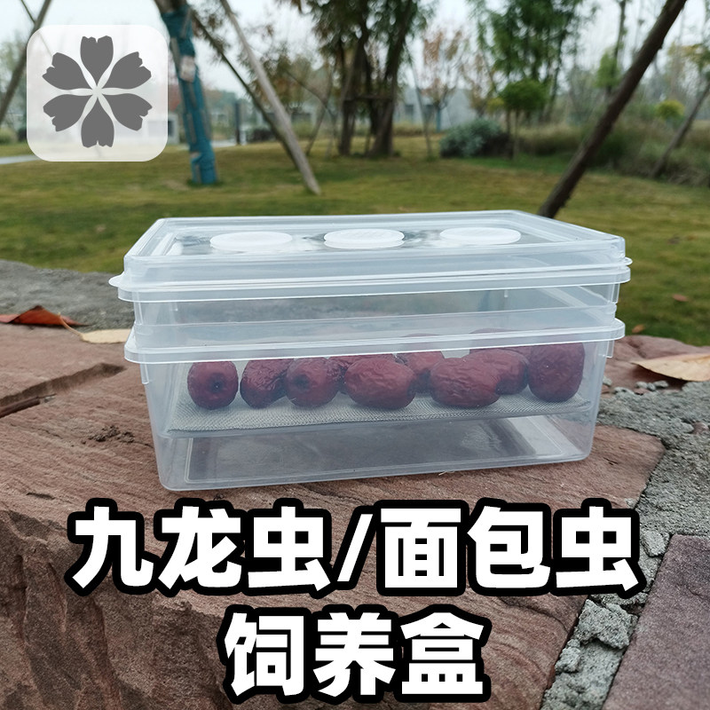 爬宠缸九龙虫饲养盒面包虫幼虫盒