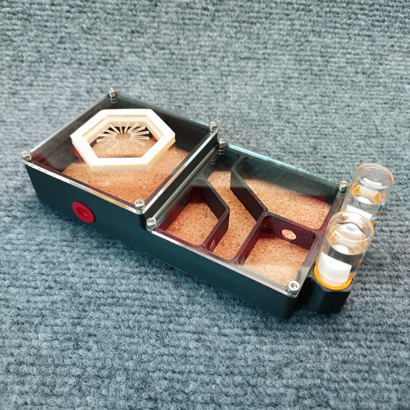 大型蚂蚁饲养巢3D打印四小巢室