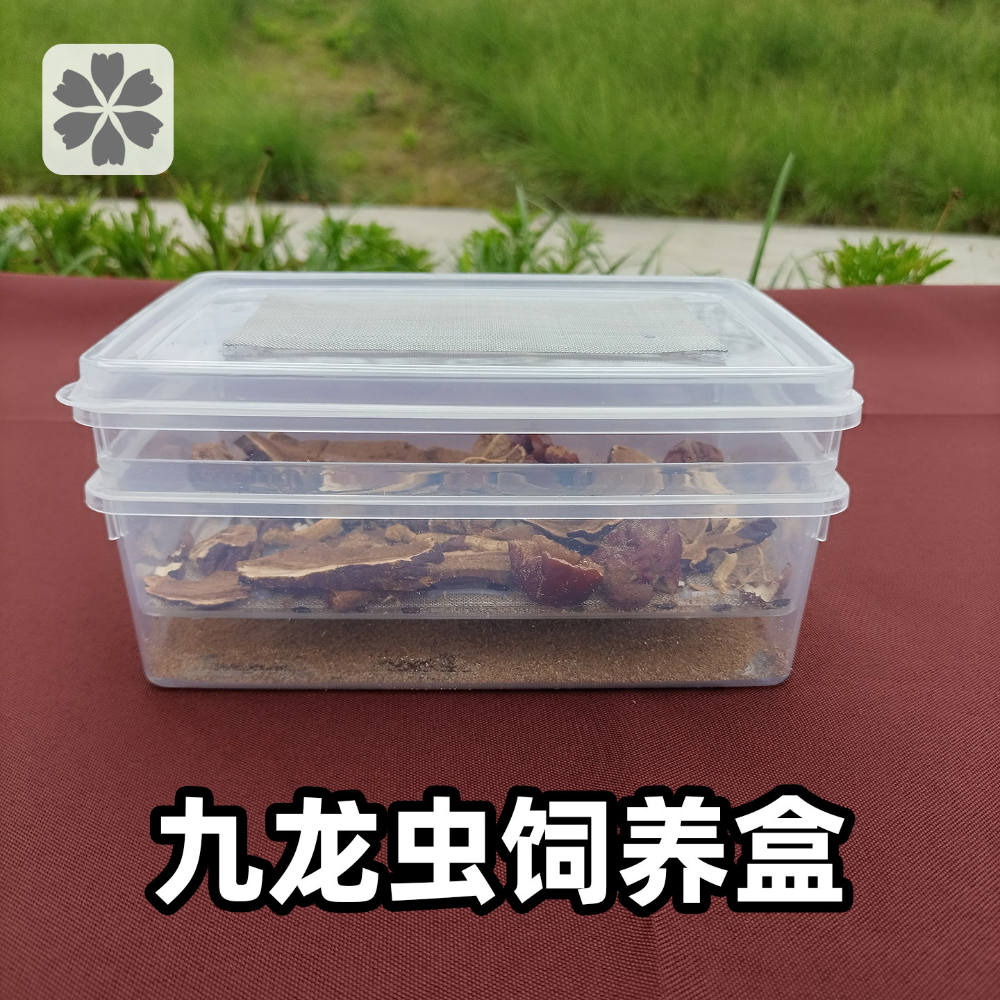 九龙虫饲养盒洋虫养殖箱