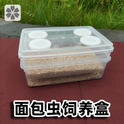 黄粉虫养殖盒大麦虫面包虫饲养盒