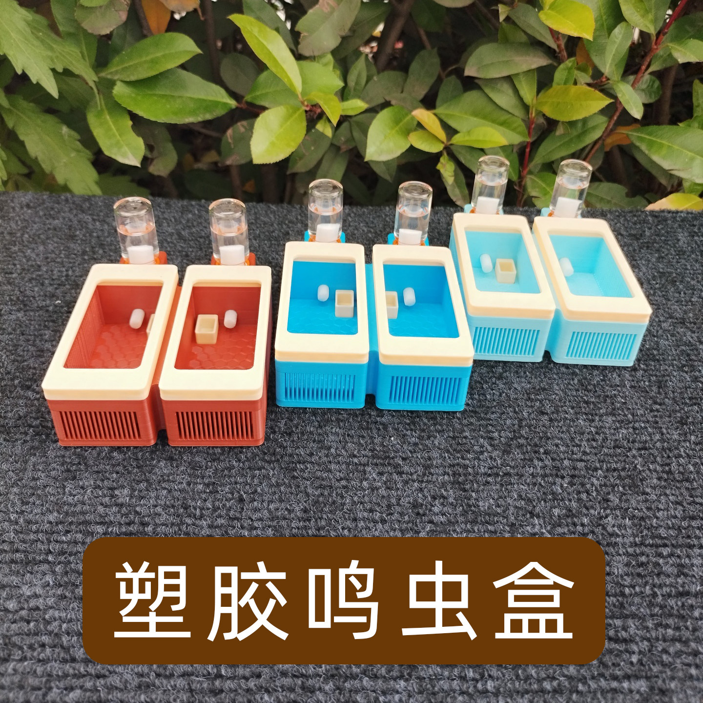 2格竹蛉盒塑料鸣虫饲养盒大黄蛉盒虫具蛉子蛉虫盒加湿器保湿
