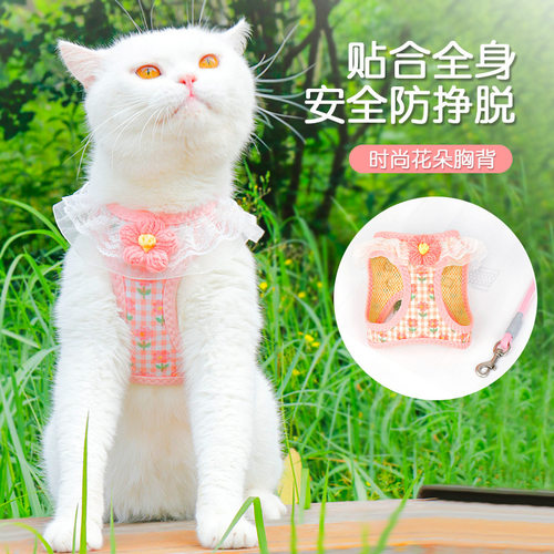猫咪牵引绳防挣脱遛狗狗